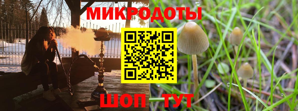 Краснодар  Галлюциногенные грибы Cubensis  продажа наркотиков  Вход с VPN 