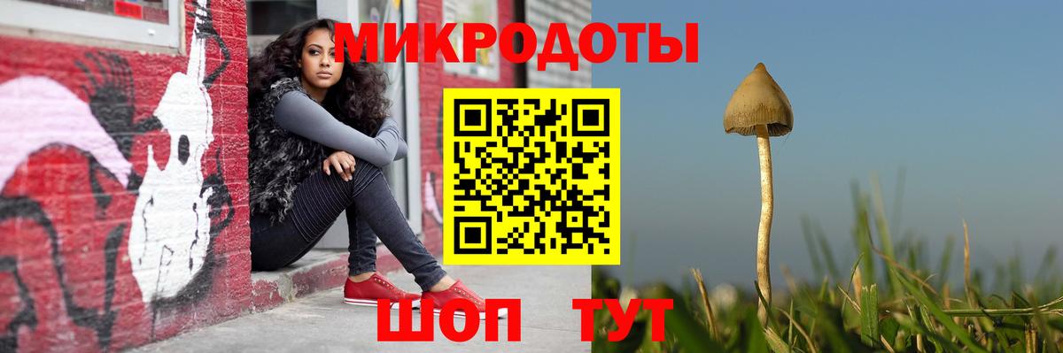 Галлюциногенные грибы прущие грибы Краснодар
